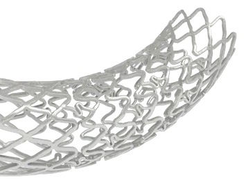 Стенти і клапани